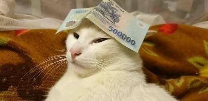 Tải ngay 90+ ảnh meme tiền cực kỳ hài hước, dí dỏm 1 500k tiền đây