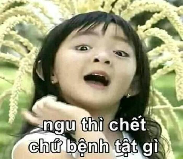 Ảnh chế chửi nhau meme chửi tục