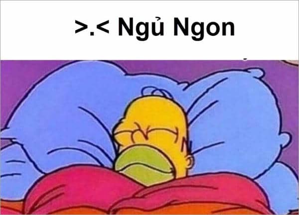 Gợi ý 898+ hình ảnh meme ngủ ngon cười ra nước mắt 1 Ảnh chúc ngủ ngon meme