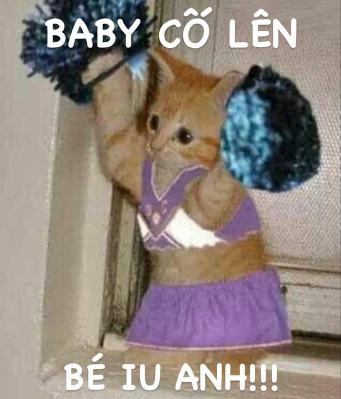 Tổng hợp 958+ mẫu meme cố lên siêu hài hước, thú vị 1 Anh cố lên meme