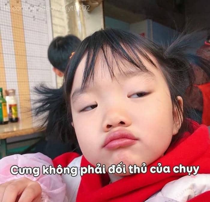Ảnh hình meme cười khinh bỉ