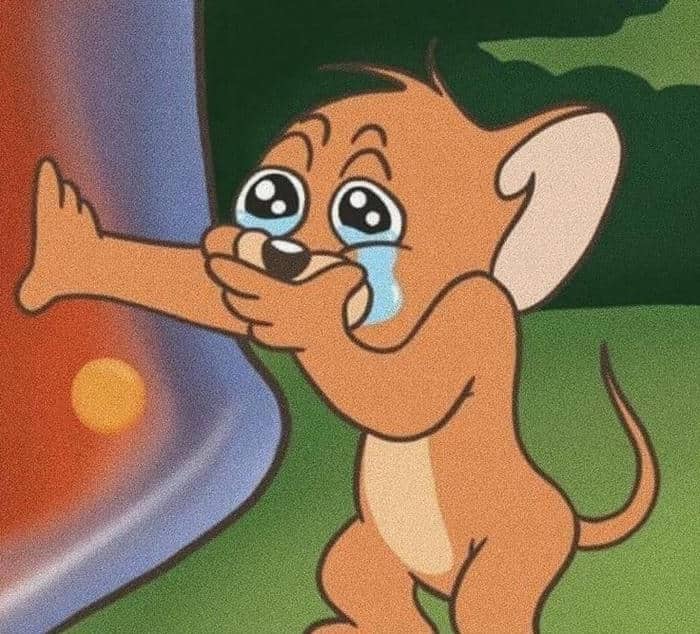 Ảnh meme Jerry nkhocs