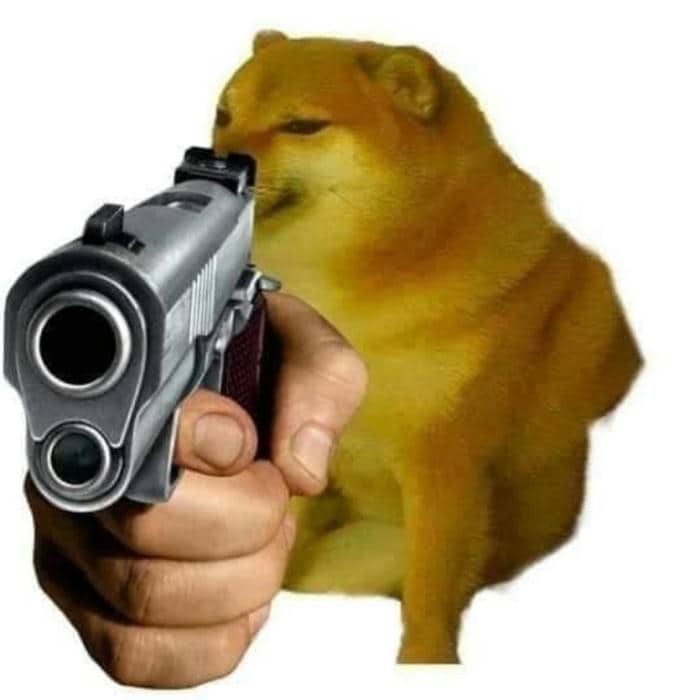 Tuyển tập 98+ hình ảnh meme cầm súng hài hước, đáng yêu 6 Ảnh meme chó cầm súng