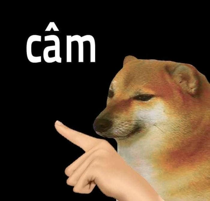 Tổng hợp 987+ ảnh meme chó Shiba cười bựa hài hước 8 Ảnh meme chó chỉ tay