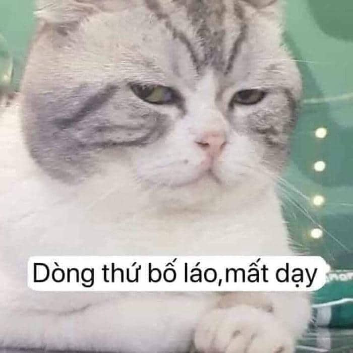 Ảnh meme chửi bậy