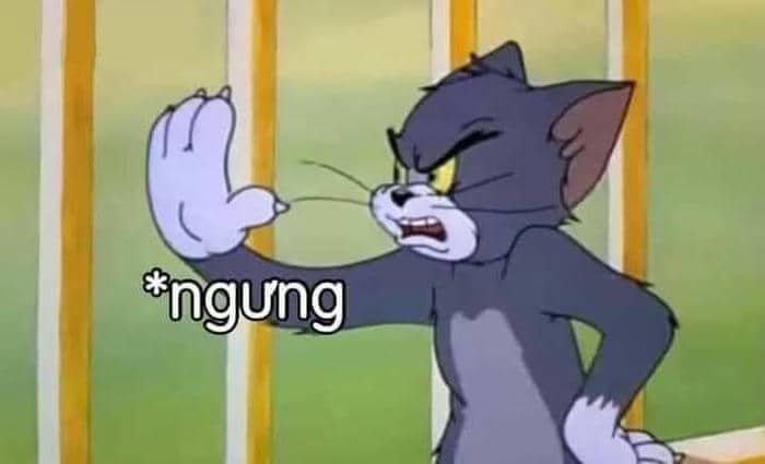 Ảnh meme chửi cute
