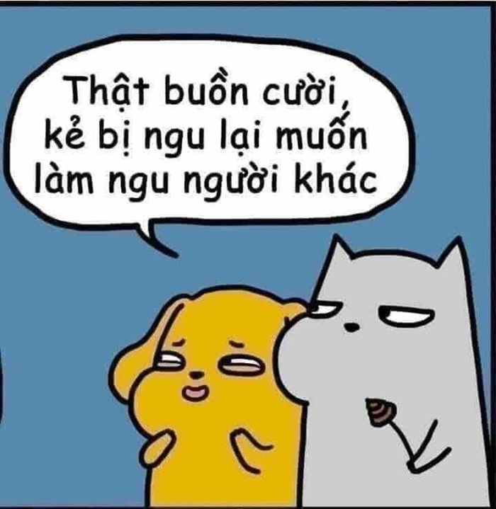 Ảnh meme chửi hài hước