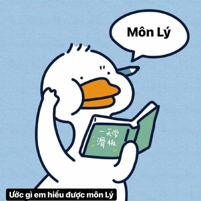 Bộ sưu tập 98+ ảnh vịt meme siêu bựa, hài hước 2 Ảnh meme con vịt chế hài