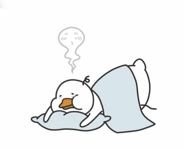 Bộ sưu tập 98+ ảnh vịt meme siêu bựa, hài hước 4 Ảnh meme con vịt