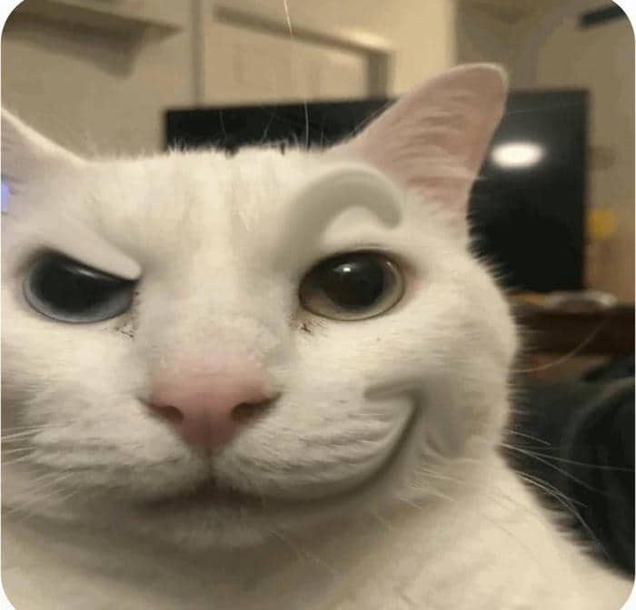 Ảnh meme hình mèo cười nhếch mép