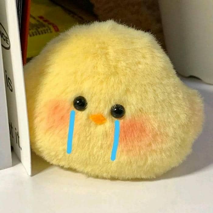 Ảnh meme khóc cute