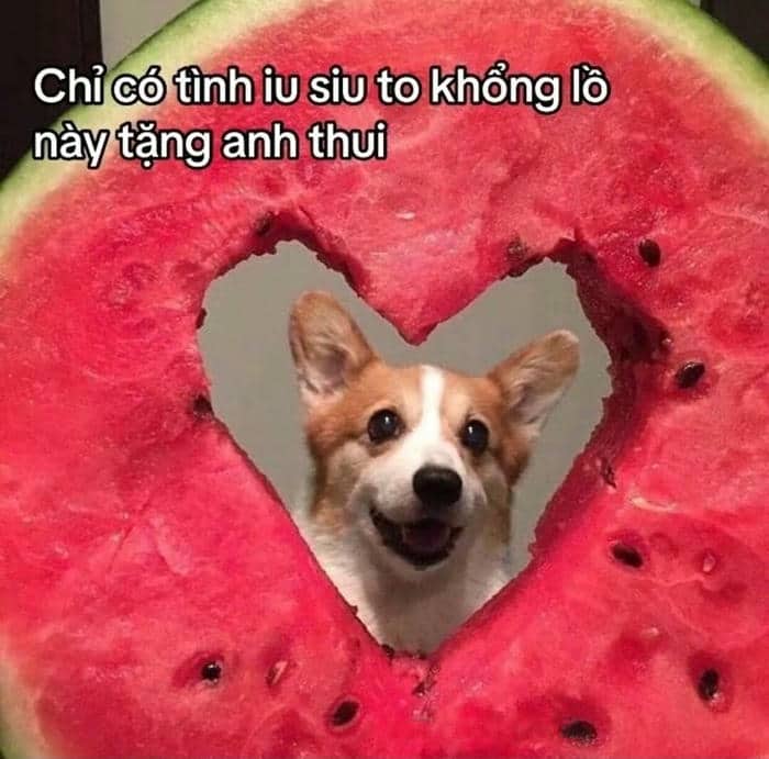 Ảnh meme tình yêu