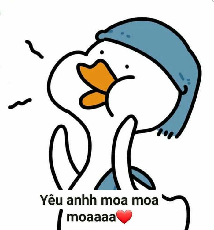 Bộ sưu tập 98+ ảnh vịt meme siêu bựa, hài hước 6 Ảnh meme vịt chế
