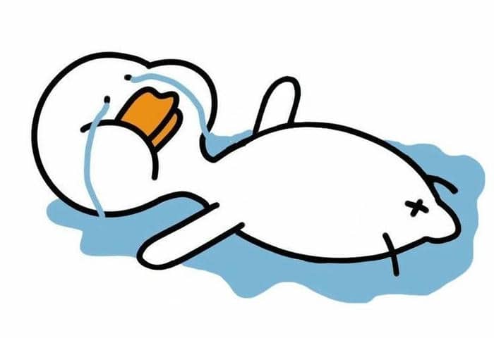 Bộ sưu tập 98+ ảnh vịt meme siêu bựa, hài hước 10 Ảnh meme vịt