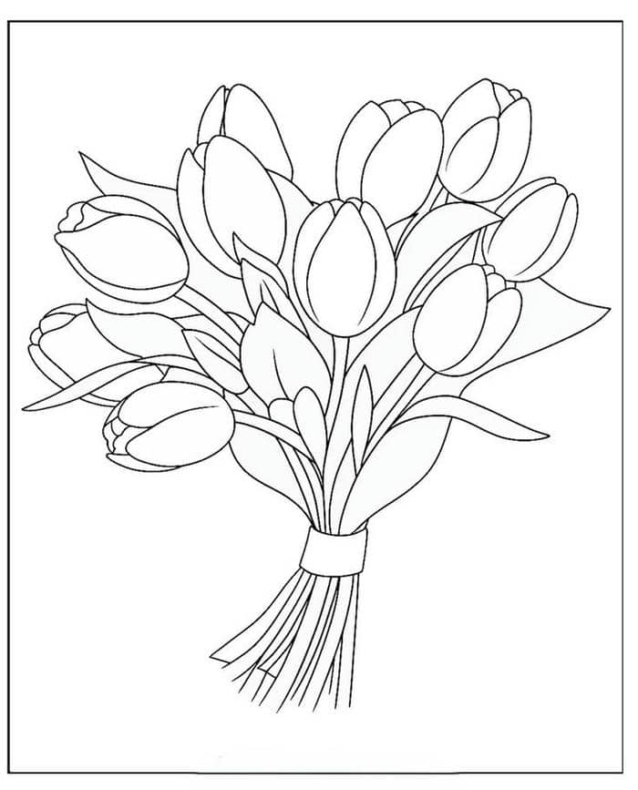 Gợi ý 78+ bộ vẽ tranh tô màu hoa tulip đẹp nhất cho bé 2 Ảnh tranh tô màu bó hoa tulip