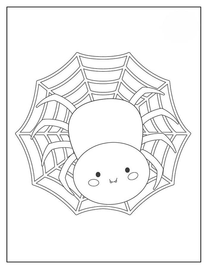Tổng hợp 100+ hình tranh tô màu con nhện halloween cho bé 2 Ảnh tranh tô màu con nhện cute cho bé