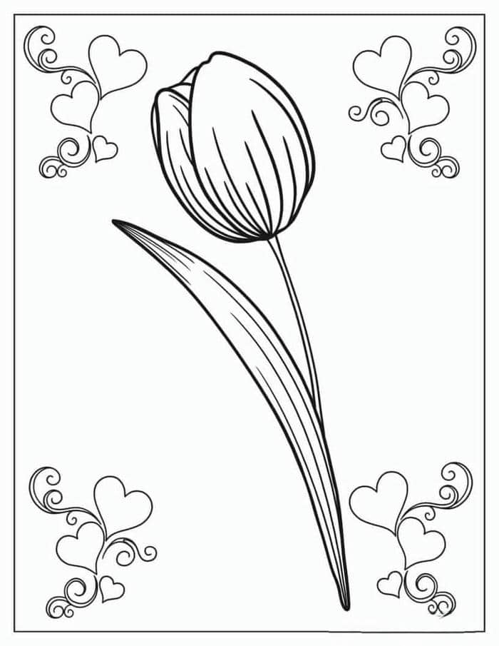 Gợi ý 78+ bộ vẽ tranh tô màu hoa tulip đẹp nhất cho bé 6 Ảnh tranh tô màu hình bông hoa tulip