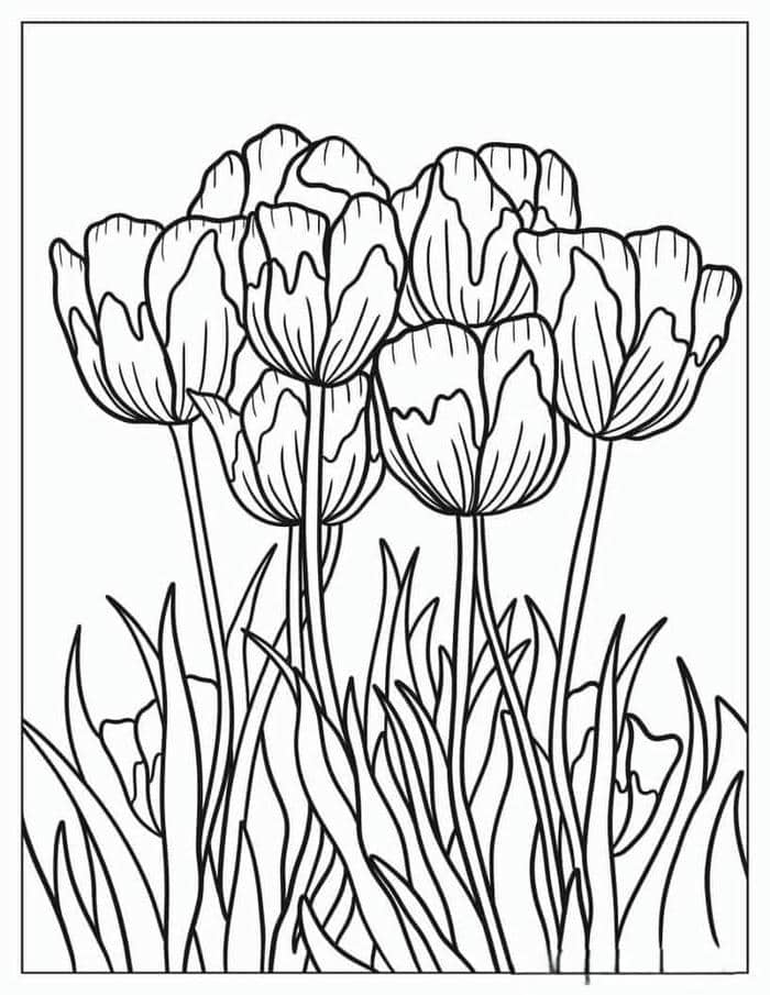 Gợi ý 78+ bộ vẽ tranh tô màu hoa tulip đẹp nhất cho bé 10 Ảnh tranh tô màu hình hoa tulip