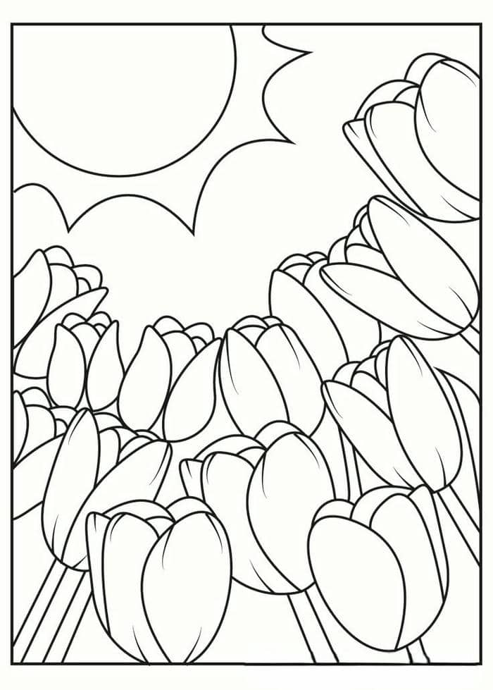 Gợi ý 78+ bộ vẽ tranh tô màu hoa tulip đẹp nhất cho bé 12 Ảnh tranh tô màu hình vườn hoa tulip đơn giản