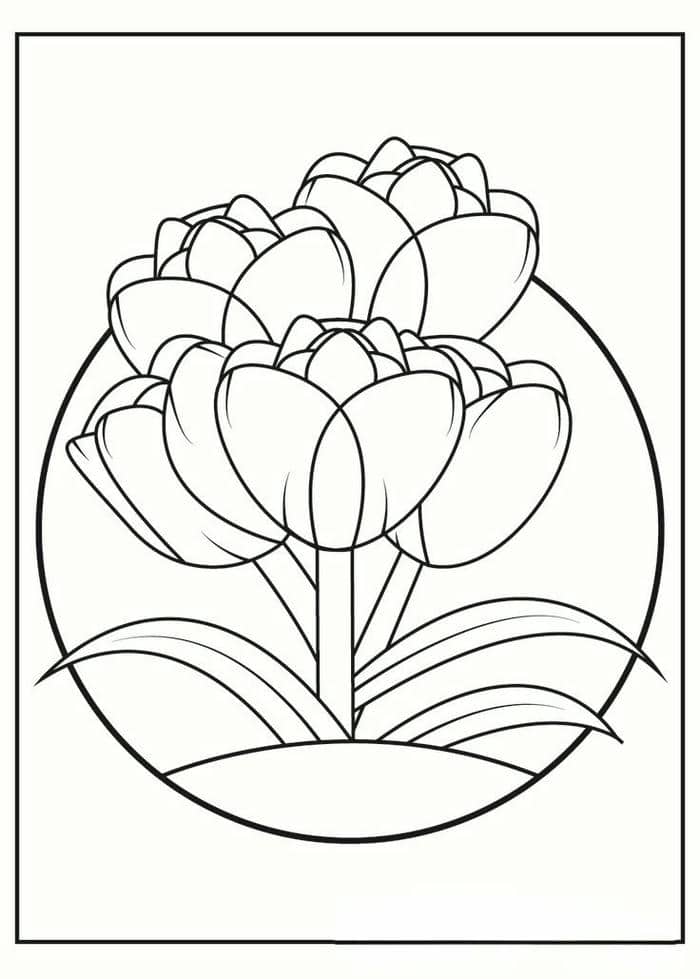 Gợi ý 78+ bộ vẽ tranh tô màu hoa tulip đẹp nhất cho bé 14 Ảnh tranh tô màu hoa tulip
