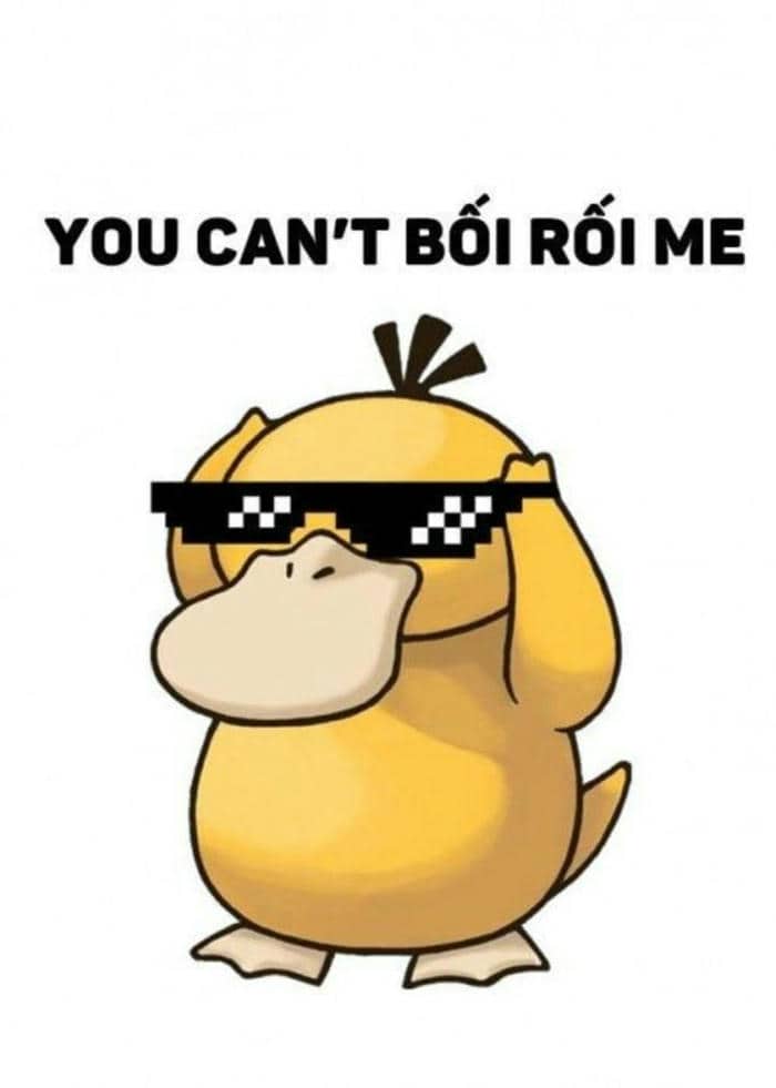 Bộ sưu tập 98+ ảnh vịt meme siêu bựa, hài hước 12 Ảnh vịt vàng meme
