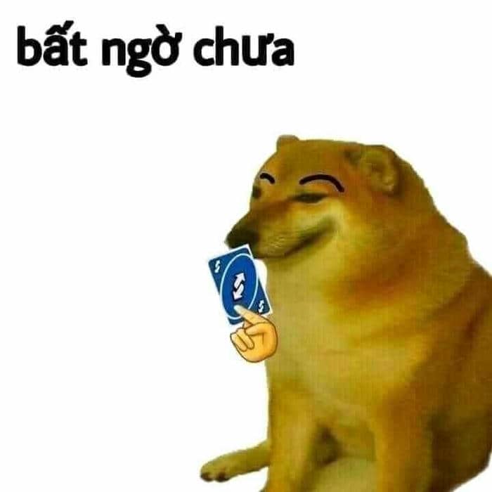 Tải miễn phí 500+ hình ảnh meme bất ngờ siêu bẩn bựa 7 Bất ngờ chưa meme