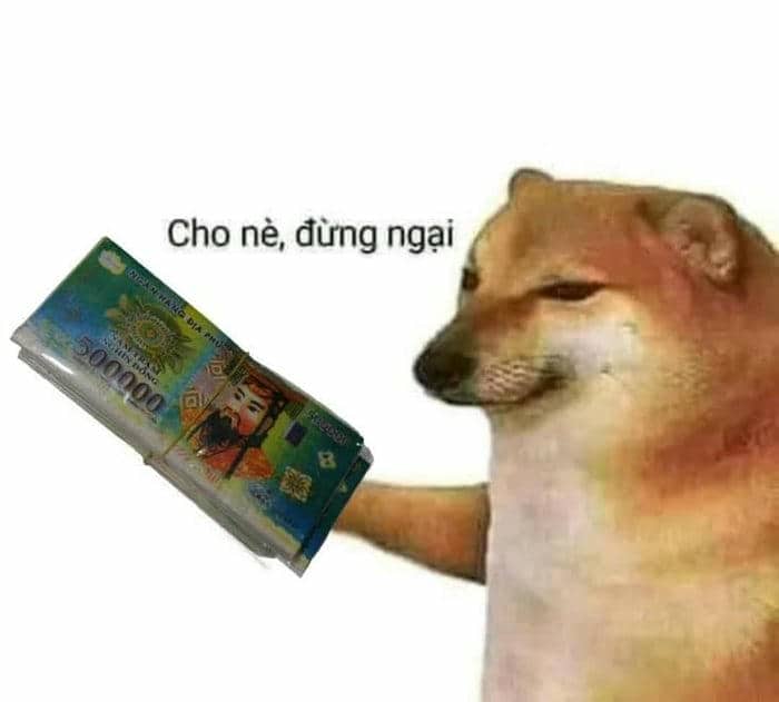Tải ngay 90+ ảnh meme tiền cực kỳ hài hước, dí dỏm 8 Cho tiền meme