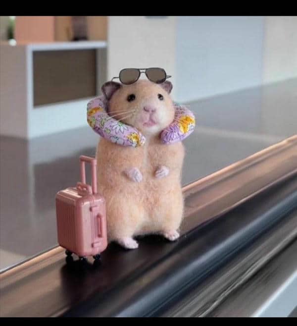 Bộ sưu tập 99+ Hamster meme siêu hài hước, cực đáng yêu 9 Con chuột hamster meme