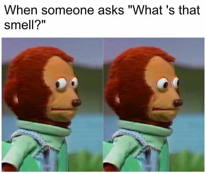 Bộ sưu tập 99+ ảnh meme liếc mắt siêu bẩn bựa nổi tiếng 2 Con khỉ liếc meme