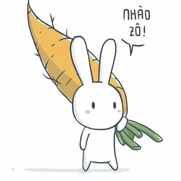 Đánh nhau không meme