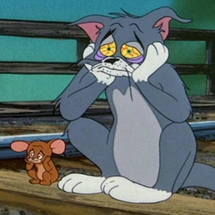 Gợi ý 99+ hình ảnh Tom and Jerry meme siêu hài hước 6 Funny Tom and Jerry meme face