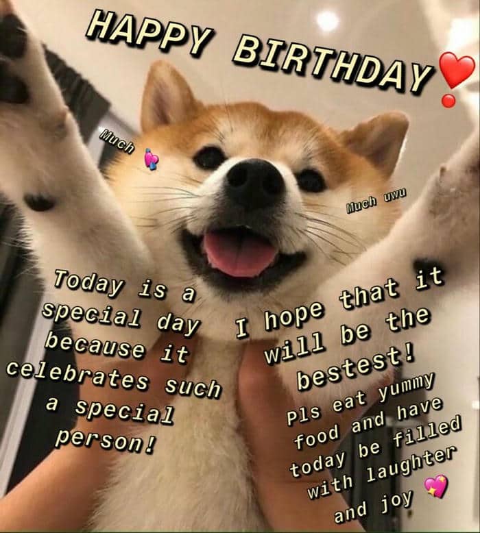 Gợi ý 989+ hình ảnh happy birthday meme siêu hài bựa 8 Funny happy birthday meme