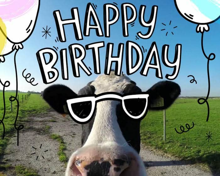 Gợi ý 989+ hình ảnh happy birthday meme siêu hài bựa 9 Funny meme happy birthday