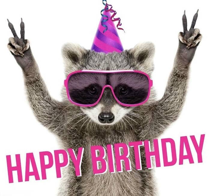 Gợi ý 989+ hình ảnh happy birthday meme siêu hài bựa 12 Happy birthday meme cute