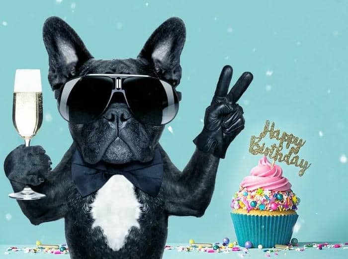 Gợi ý 989+ hình ảnh happy birthday meme siêu hài bựa 17 Happy birthday to me meme