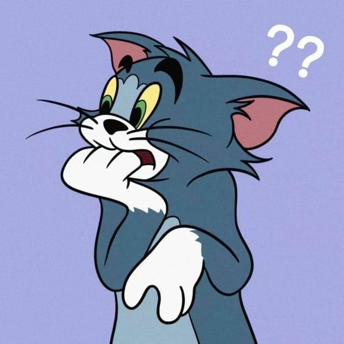 Hình Tom and Jerry meme thắc mắc