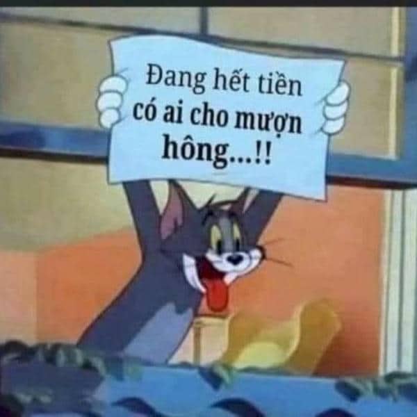 Tổng hợp 987+ hình ảnh meme hết tiền hài hước & vui nhộn 10 Hình ảnh mèo tôm hết tiền meme