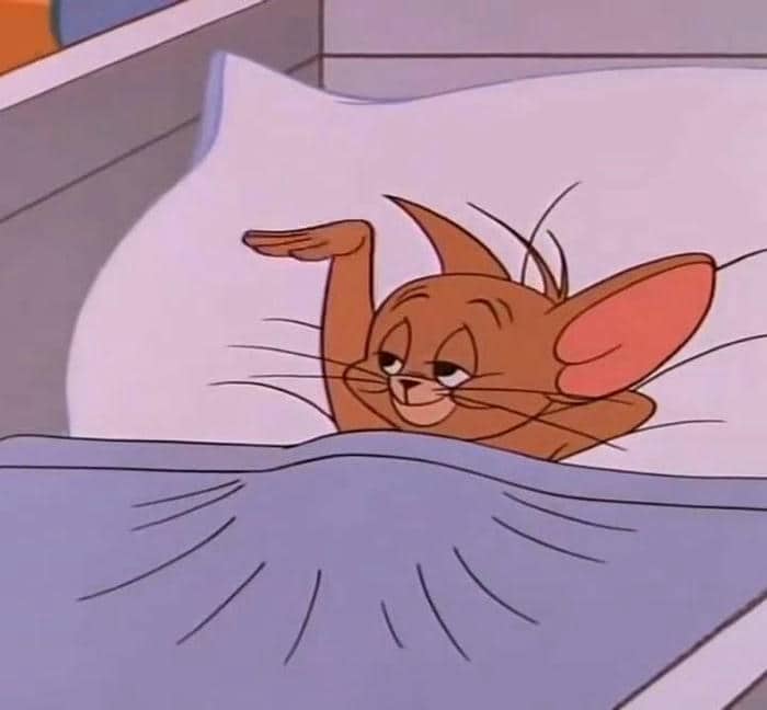 Gợi ý 99+ hình ảnh Tom and Jerry meme siêu hài hước 10 Hình ảnh meme Tom and Jerry hài cute