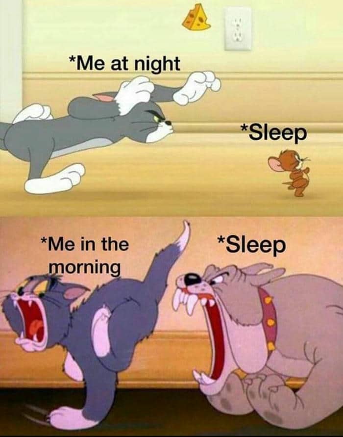 Gợi ý 99+ hình ảnh Tom and Jerry meme siêu hài hước 12 Hình ảnh meme Tom and Jerry