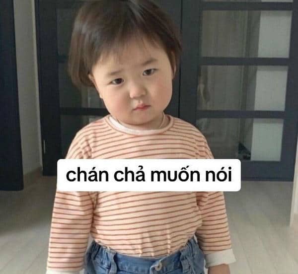 Bộ sưu tập 99+ hình ảnh meme bất lực hài hước, sáng tạo 13 Hình ảnh meme bất lực