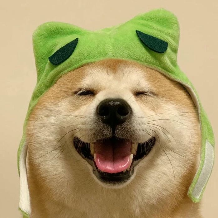 Hình ảnh meme chó cười đáng yêu
