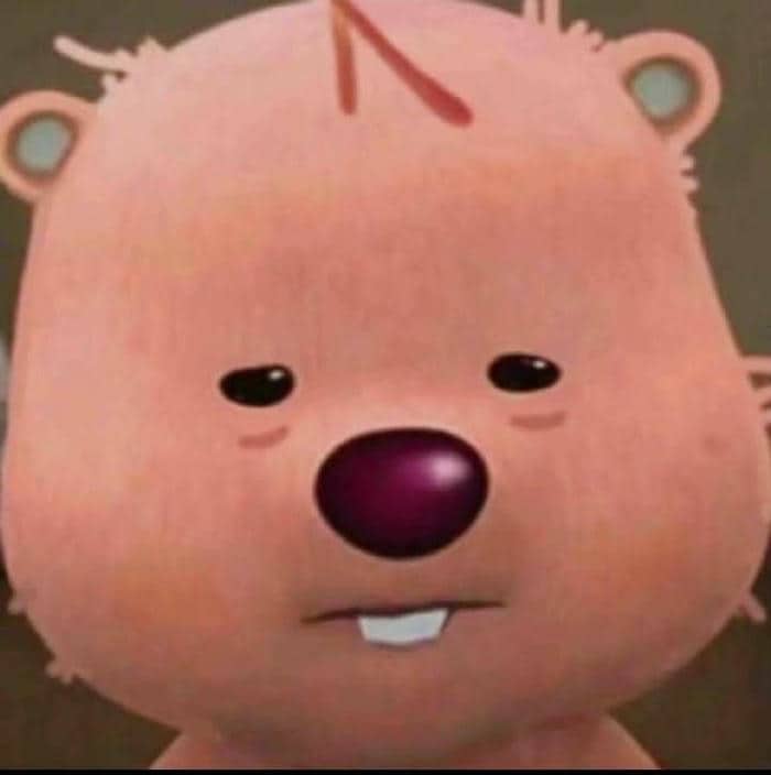 Hình ảnh meme gấu Loopy buồn ngủ
