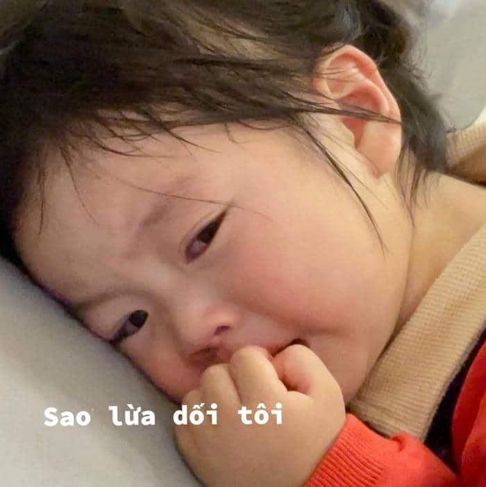 Hình ảnh meme nằm khóc