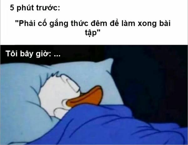 Gợi ý 898+ hình ảnh meme ngủ ngon cười ra nước mắt 13 Hình ảnh meme ngủ ngon hài
