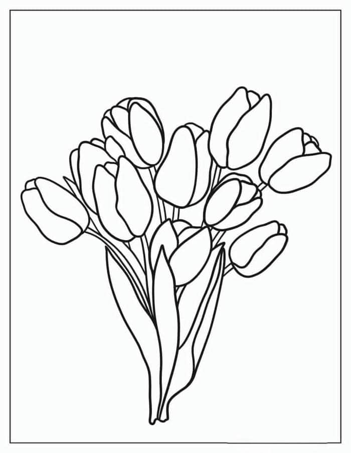 Gợi ý 78+ bộ vẽ tranh tô màu hoa tulip đẹp nhất cho bé 17 Hình bó hoa tulip tranh tô màu
