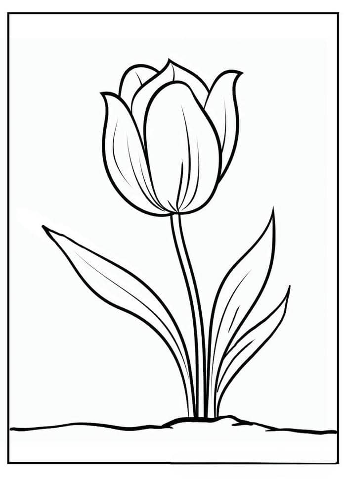 Hình hoa tulip tranh tô màu đơn giản