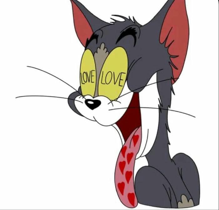 Gợi ý 99+ hình ảnh Tom and Jerry meme siêu hài hước 19 Hình meme Tom and Jerry love