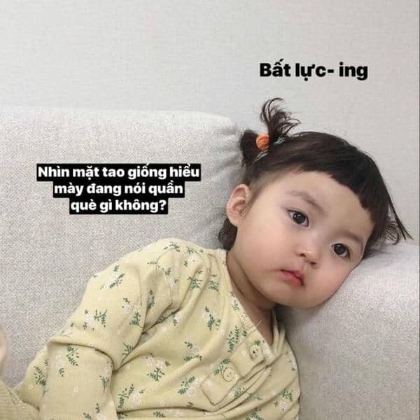 Bộ sưu tập 99+ hình ảnh meme bất lực hài hước, sáng tạo 18 Meme em bé bất lực