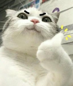 Gợi ý 78+ hình ảnh meme cười ra nước mắt vui nhộn