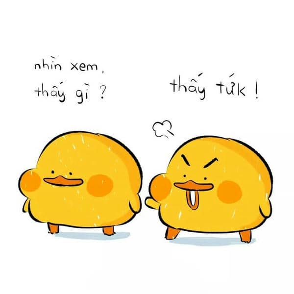 Hình meme đánh cute